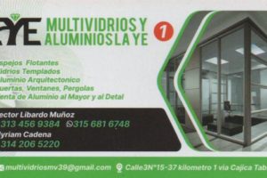 MULTIVIDRIOS LA YE