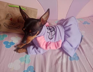 MUNDO FANTASIA PET (21)